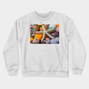 White Starfish On Colorful Seashells Crewneck Sweatshirt